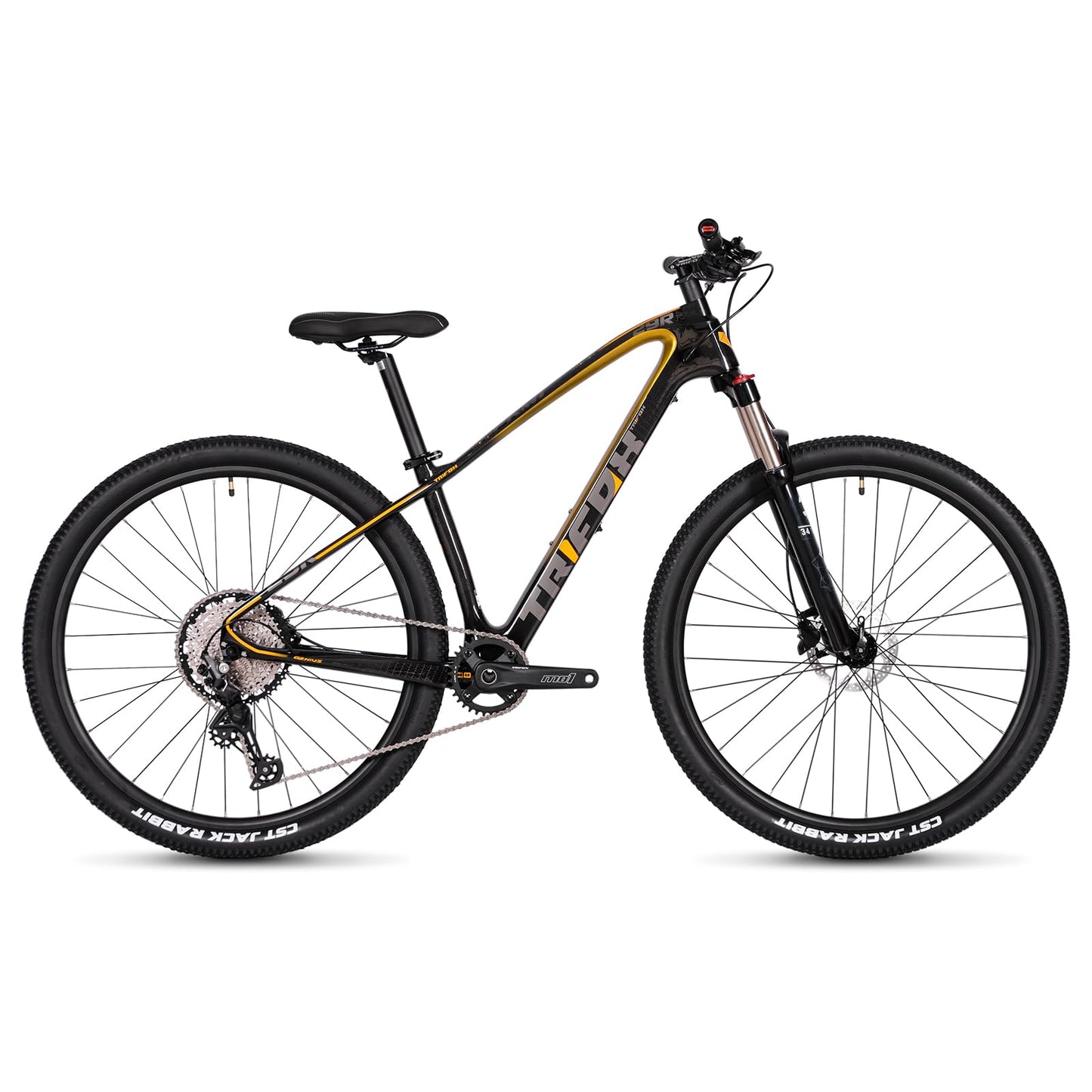 Carbon Mountain Bike with Shimano Deore 12-Speed